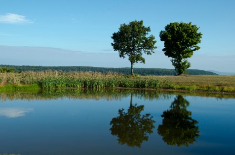 campingsouthcumberland005